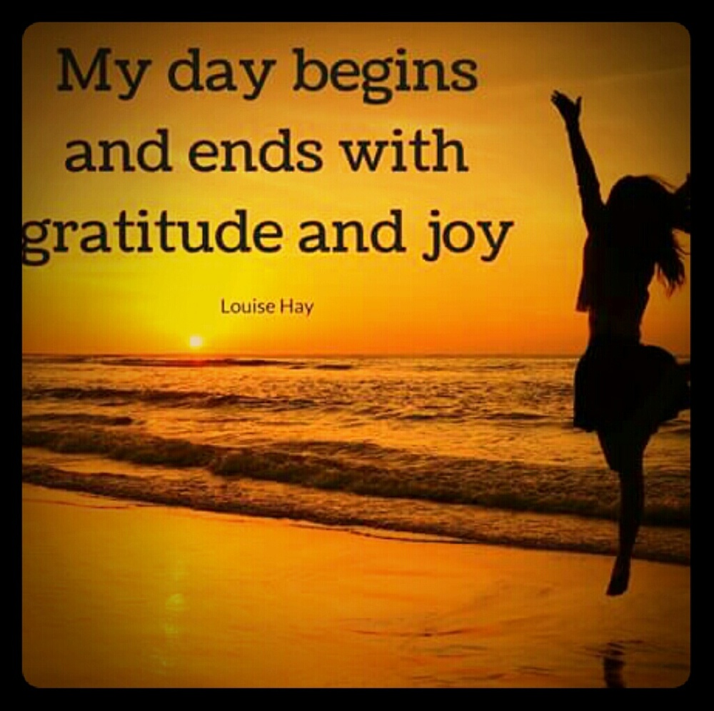 Gratitude🙏